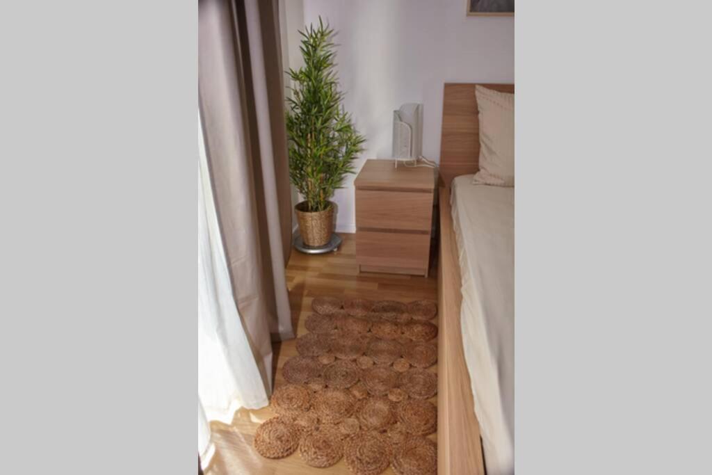 La Vallee Des Hortillonages أميا المظهر الخارجي الصورة